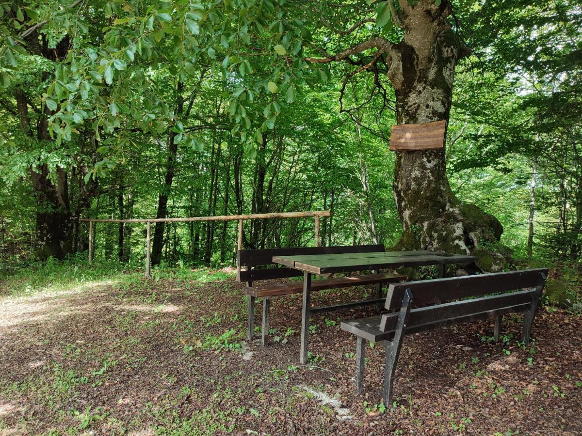 Holiday Home "Sleme" With Jacuzzi, Big Garden And Arbor With Fireplace Skrad Zewnętrze zdjęcie