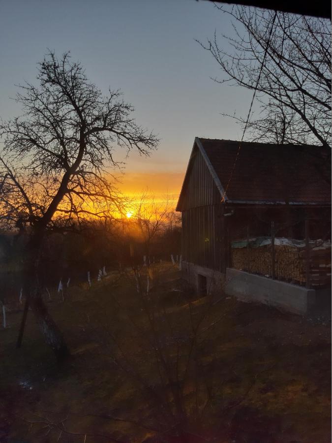 Holiday Home "Sleme" With Jacuzzi, Big Garden And Arbor With Fireplace Skrad Zewnętrze zdjęcie